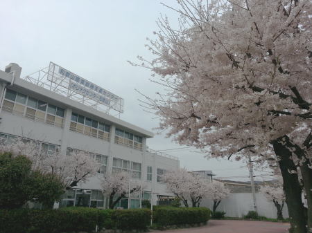 めぐる春 めぐる春