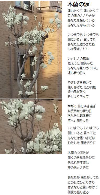 冬と春の狭間で。。。 冬と春の狭間で。。。