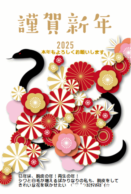 2025年　巳年