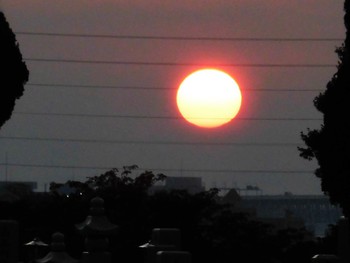 大阪湾に沈む太陽