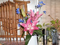 花があるとステキ！