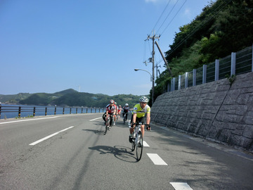 海派?山派?