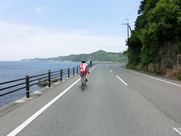 海派?山派?