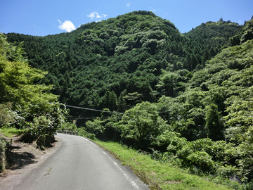 夏が来た!