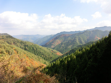 今年最後の高野山かな?