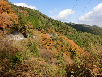 今年最後の高野山かな?
