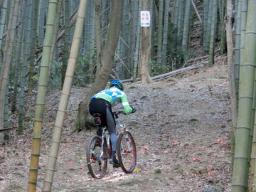 ひっさびさにMTB