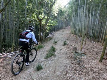 ひっさびさにMTB