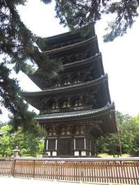 奈良に行ってきた。