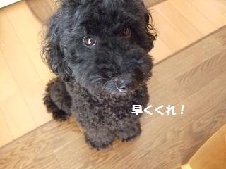 バースデープレゼント