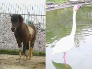 春爛漫、身体パンパン!