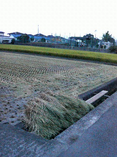 忍び寄る秋。。。