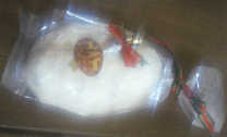 ★2012メリー・クリスマス☆