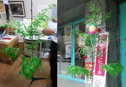 七夕に祈!