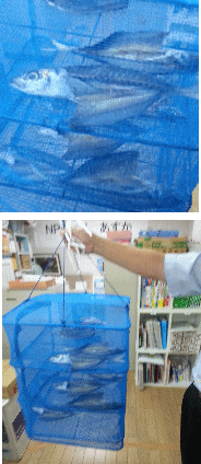 暑くって・・・