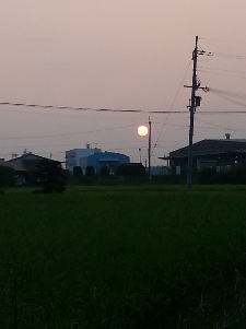 実家の夕暮れ