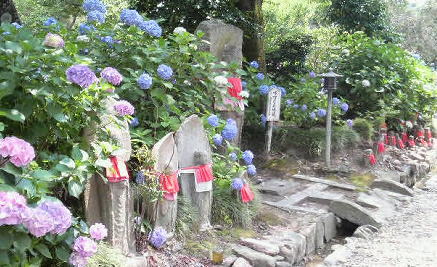 お地蔵様と紫陽花