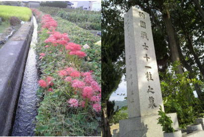お墓参りに思う