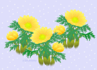 修了生から♪