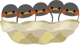もう1組、来訪