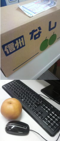 熟した果実