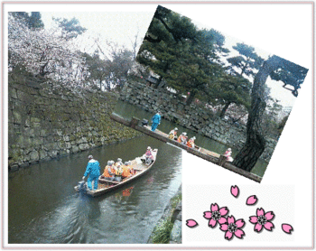 城フェスタ