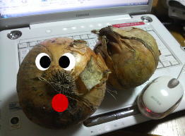 でかっ!
