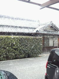 雪やこんこ