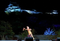 和歌山城 光と音の饗宴にバリ舞踊出演‼️