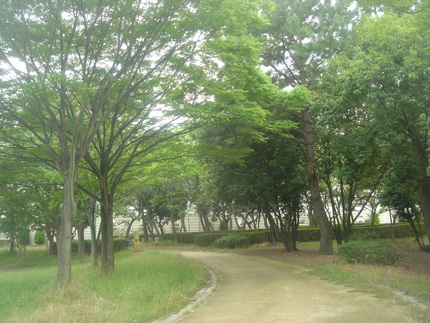 千里　古江公園