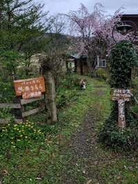 4月13日お出かけかつらぎ町‥パン＆カフェ思季・うらら