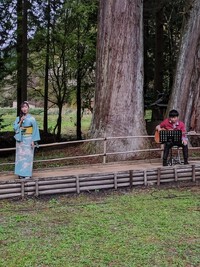 2025/04/13丹生都比売神社花盛祭宮本静奉納歌唱