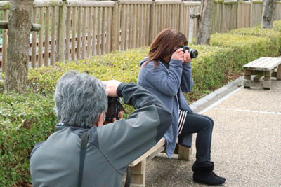 やっぱり写真は難しい・・・ やっぱり写真は難しい・・・