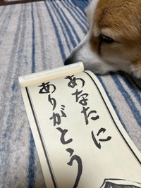 12月のお言葉と愛犬バージョン 2021/12/07 22:40:30
