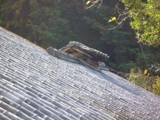 先人の知恵を生かして