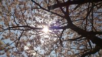 なぜお肌がスベスベだと俺に惚れなければならないのか