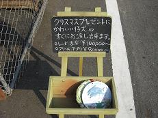 育ってます！