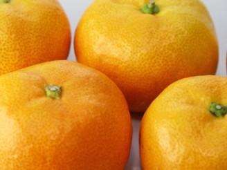 和歌山の名物、柑橘ミカン。