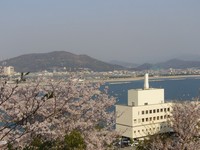 サクラ～第二章～