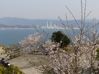 サクラ~第二章~