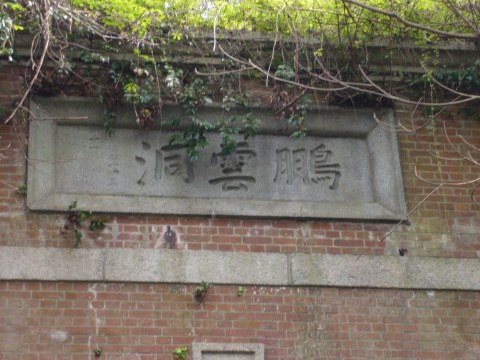 サクラ2009(その1)