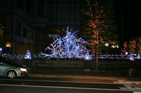 10日間の軌跡