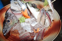 頑張っています。