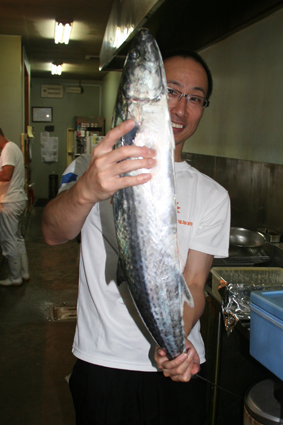 今日のお魚ちゃん