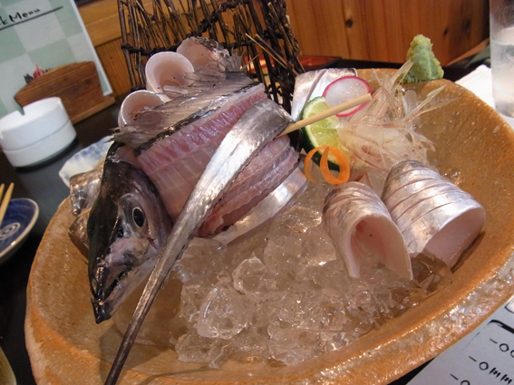 釣れたよ!