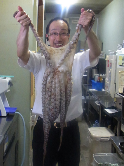 今日のお魚ちゃん