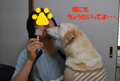 井村屋のあずきバー