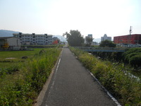 今日やったこと・・・