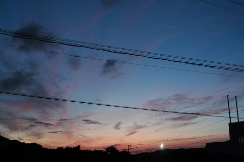 今日の夕日。