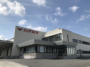 今日の風景